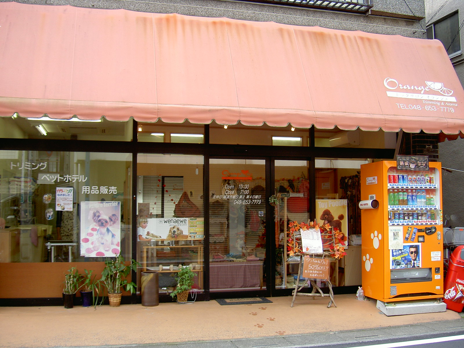埼玉県さいたま市北区のトリミングサロン ドッグサロン Orange(オランジュ）の1枚目
