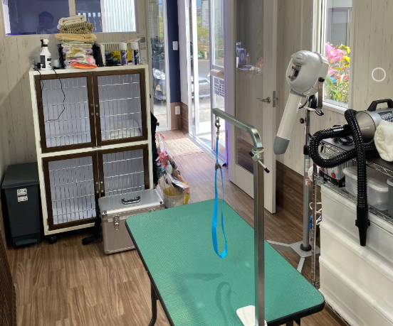 TrimmingSalonCoral 3