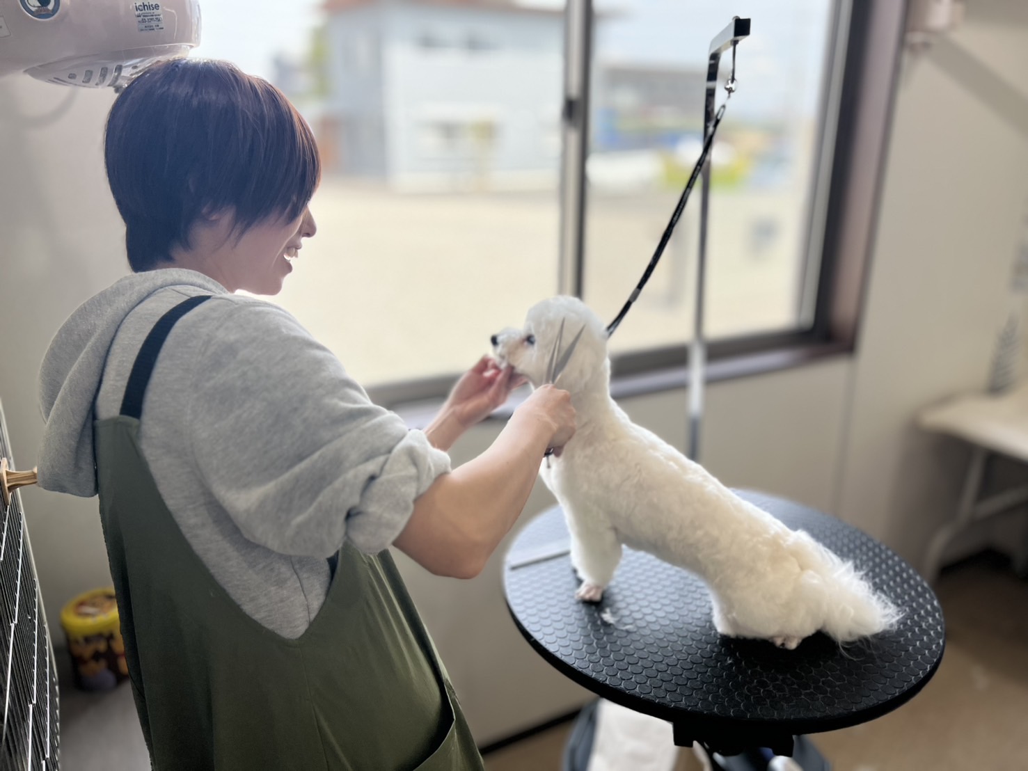 専任トリマーが最初から最後まで担当します☆