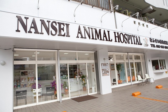 沖縄県浦添市のトリミングサロン なんせい動物病院のサムネイル1枚目