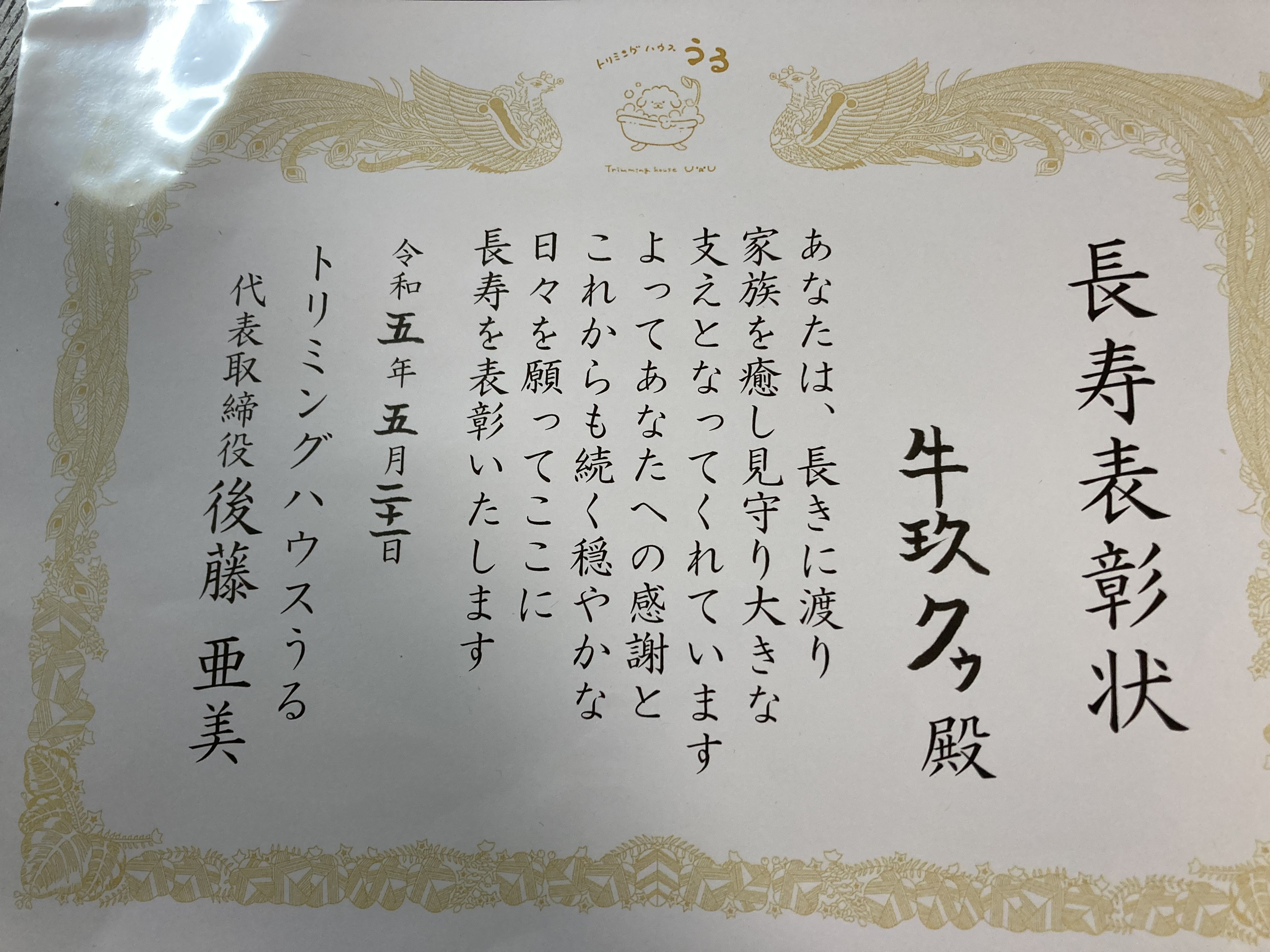 トリミングサロン トリミングハウスうるの口コミ-450の4枚目