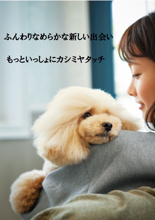 高品質なシャンプー、コンディショナー