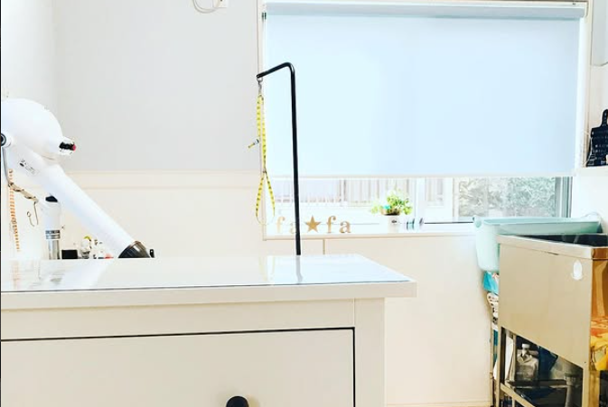 Dog salon fa☆fa 2