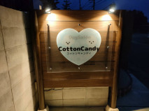 福岡県福岡市城南区のトリミングサロン Pet Salon Cotton candyの2枚目