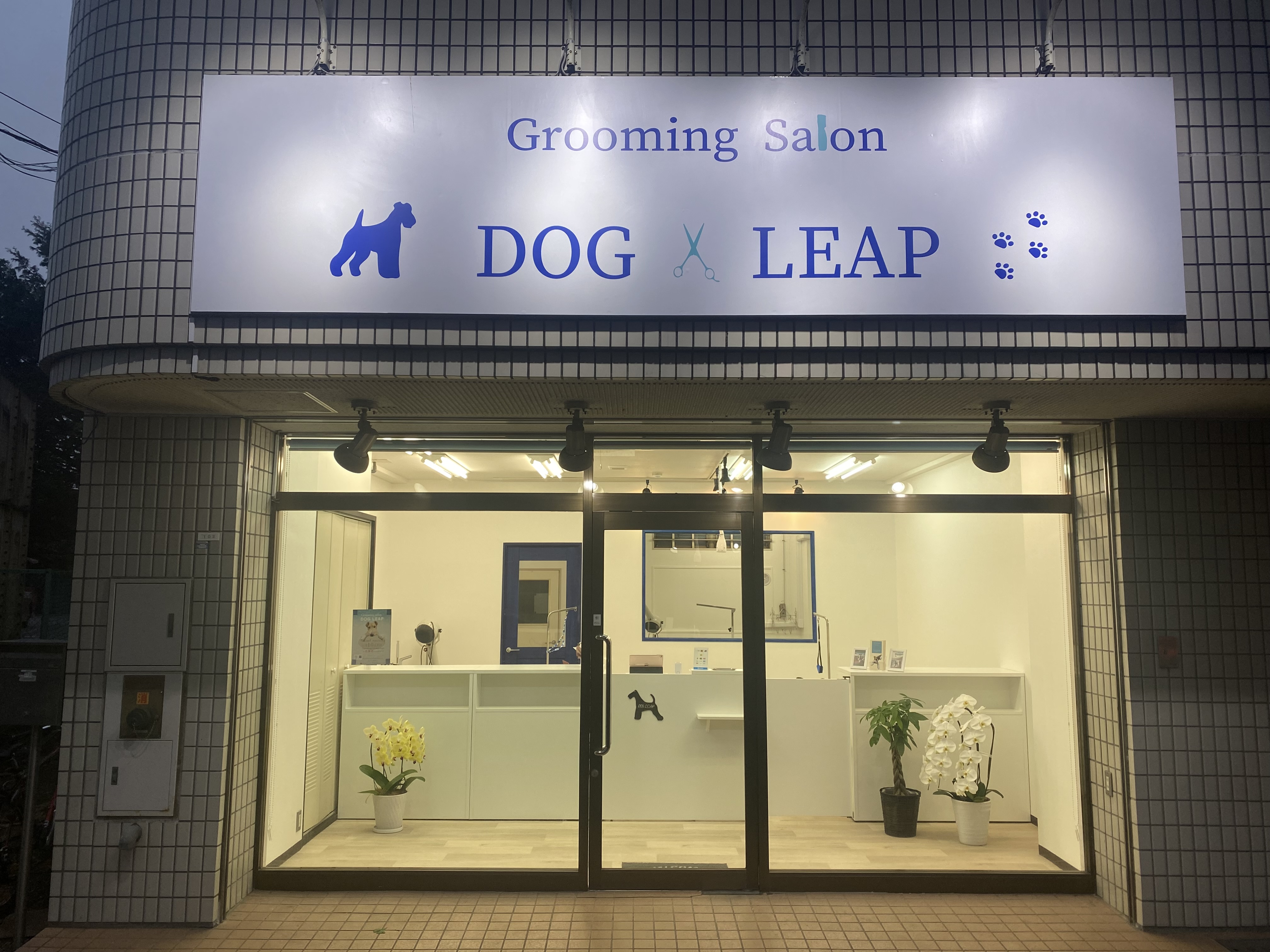 埼玉県所沢市のトリミングサロン Grooming Salon DOG LEAPの1枚目