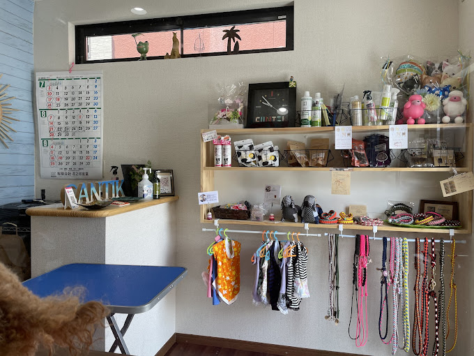 埼玉県川口市のトリミングサロン CANTIK 犬の美容室チャンティの2枚目
