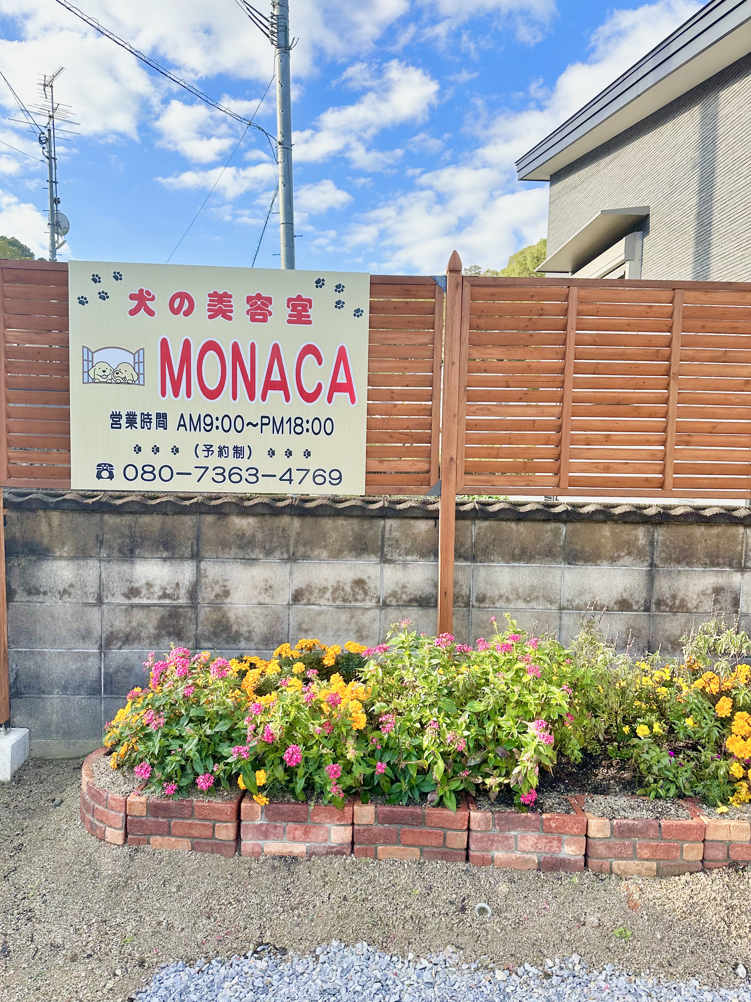 福岡県小竹町のトリミングサロン 犬の美容室MONACAの3枚目