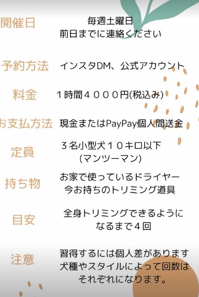 トリミングサロン ダンドゥビ 3