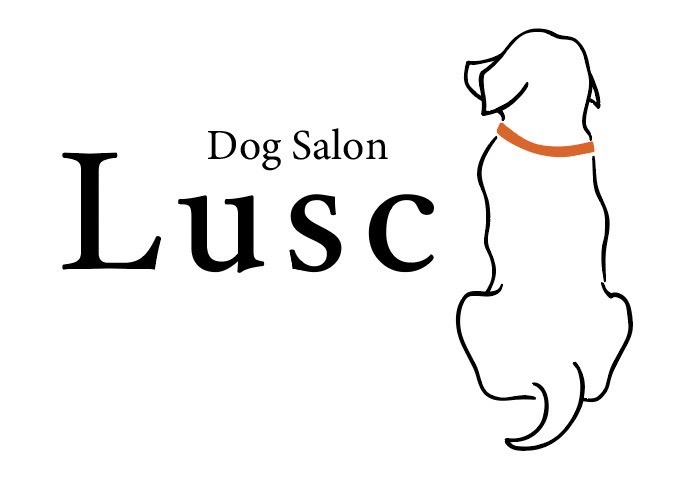 高知県土佐市のトリミングサロン Dog Salon Luscのサムネイル1枚目