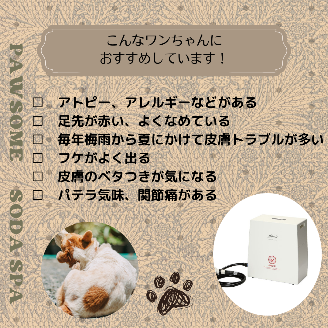 群馬県前橋市のトリミングサロン dog salon pawsomeの5枚目