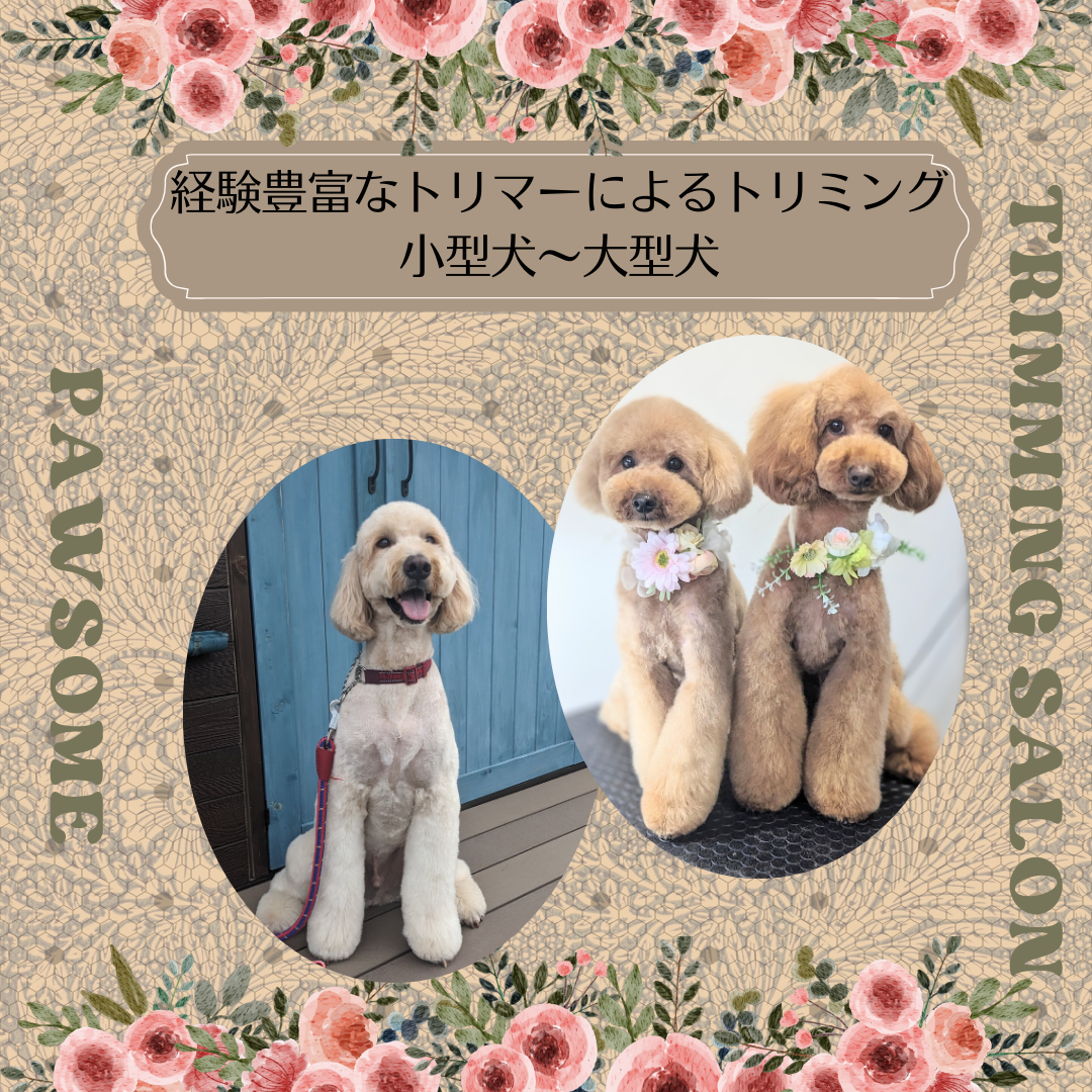 群馬県前橋市のトリミングサロン dog salon pawsomeの7枚目