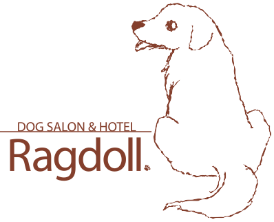 宮城県仙台市太白区のトリミングサロン ドックサロン&ホテル Ragdoll 富沢南店の3枚目