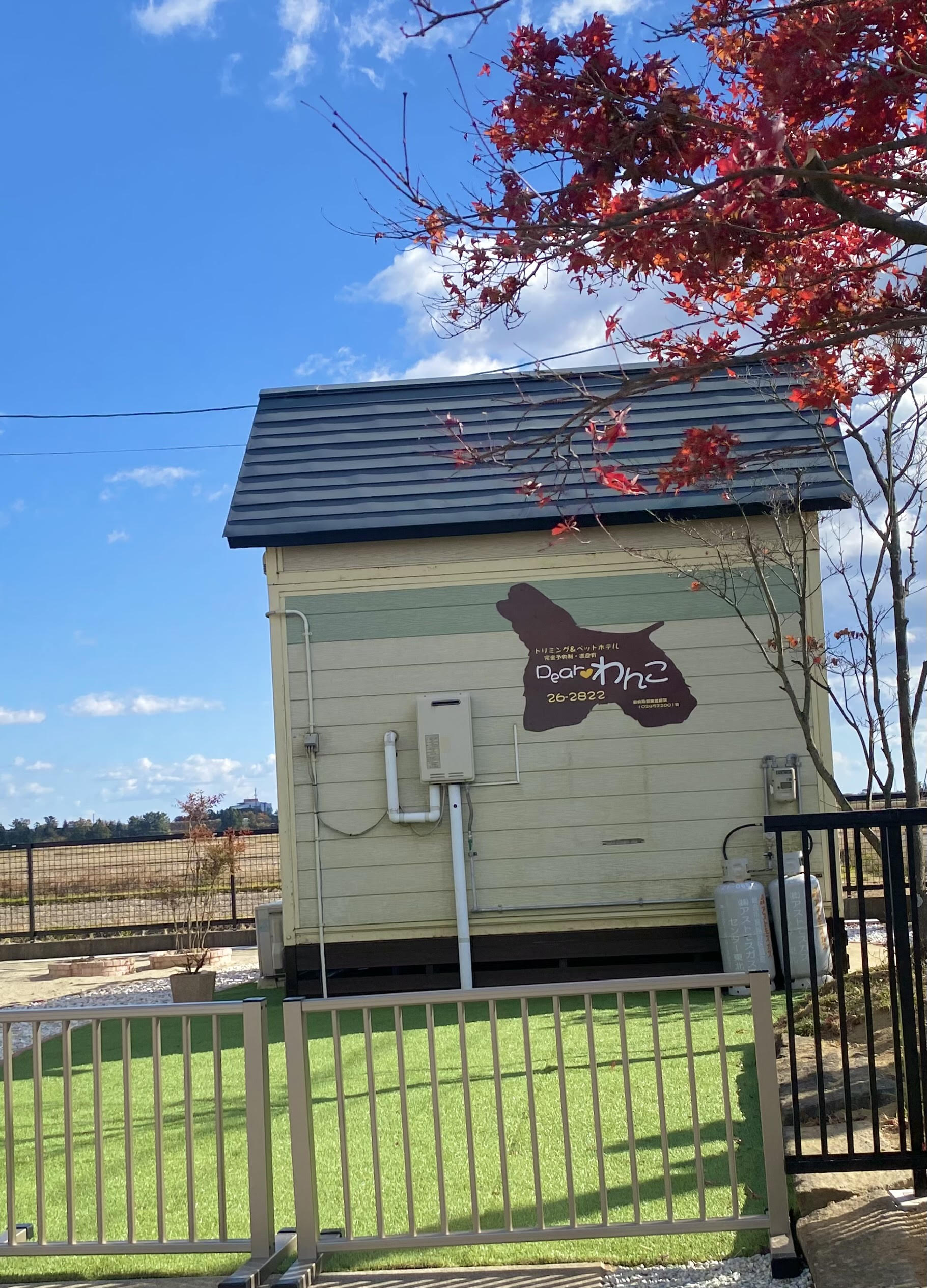 宮城県大崎市のトリミングサロン Dearわんこの1枚目