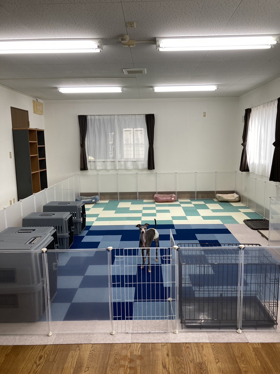 岩手県矢巾町のトリミングサロン Dogsalon&hotel さるはっとの4枚目