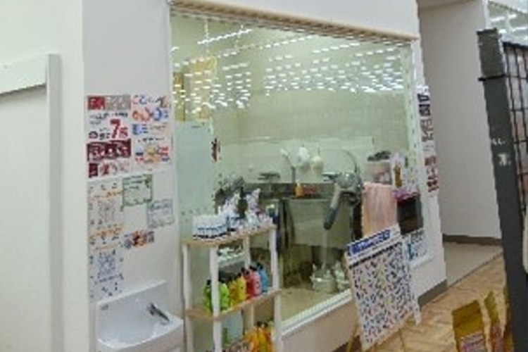 和歌山県和歌山市のトリミングサロン ペットアミ 紀ノ川店の2枚目