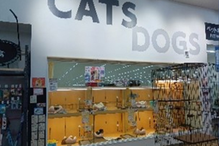 和歌山県和歌山市のトリミングサロン ペットアミ 紀ノ川店の1枚目