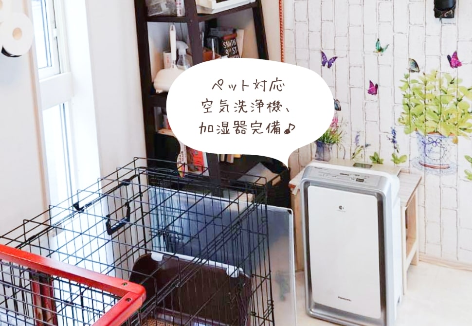 岐阜県岐阜市のトリミングサロン 小型犬専門店 Trimming Salon Hugの3枚目