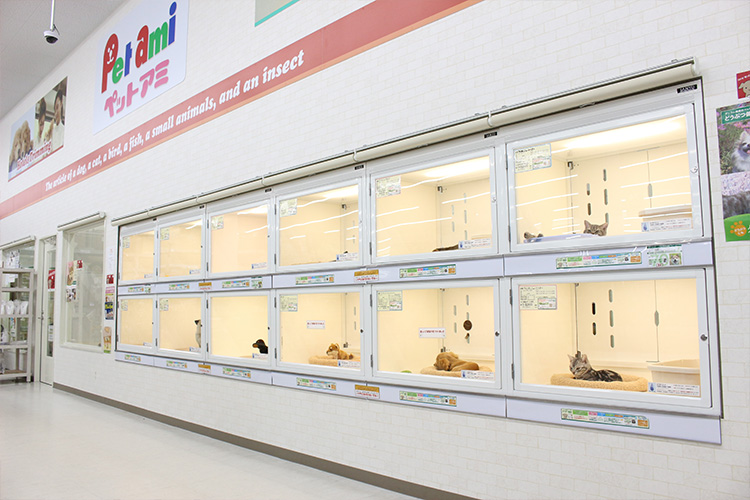 宮城県登米市のトリミングサロン ペットアミ 佐沼店の1枚目