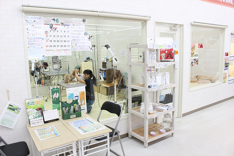 宮城県登米市のトリミングサロン ペットアミ 佐沼店の2枚目
