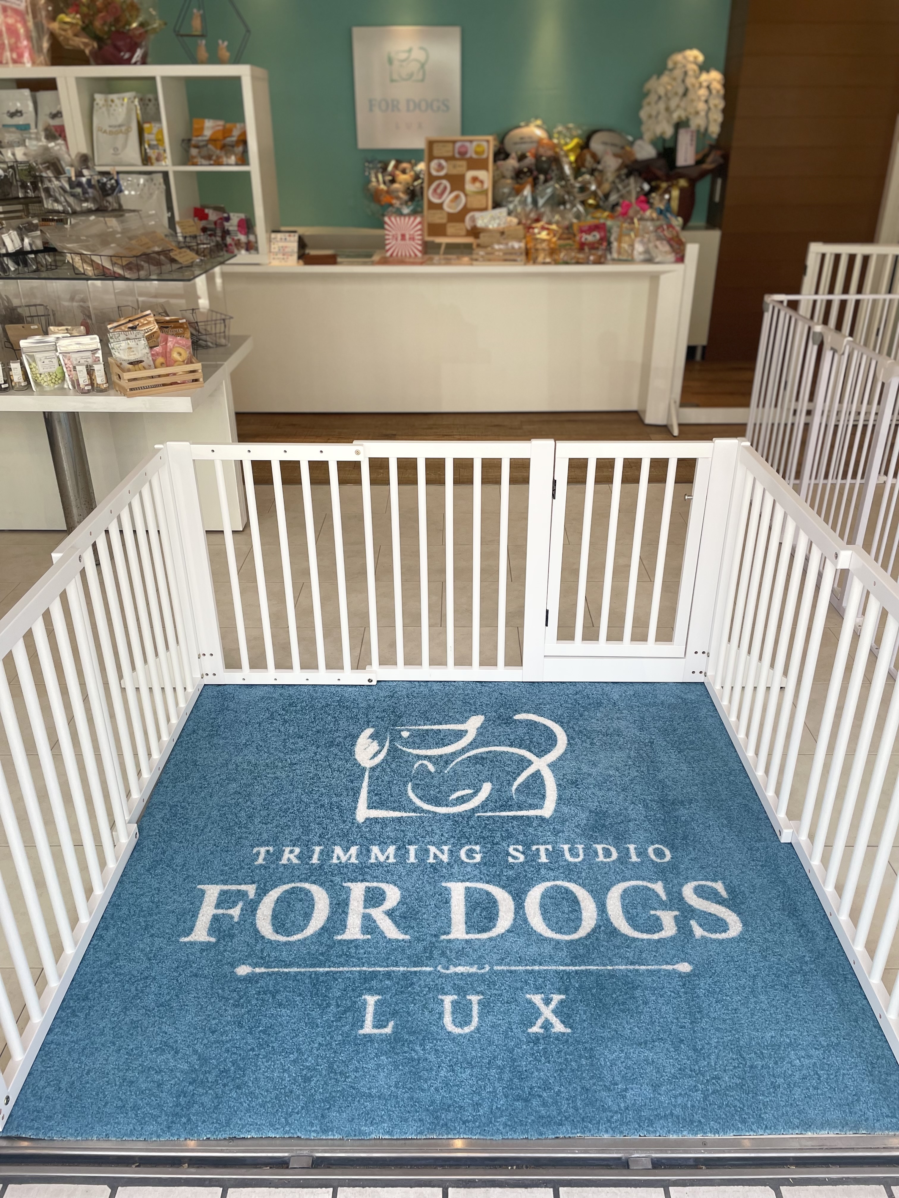 福岡県福岡市東区のトリミングサロン FOR DOGS LUXの3枚目