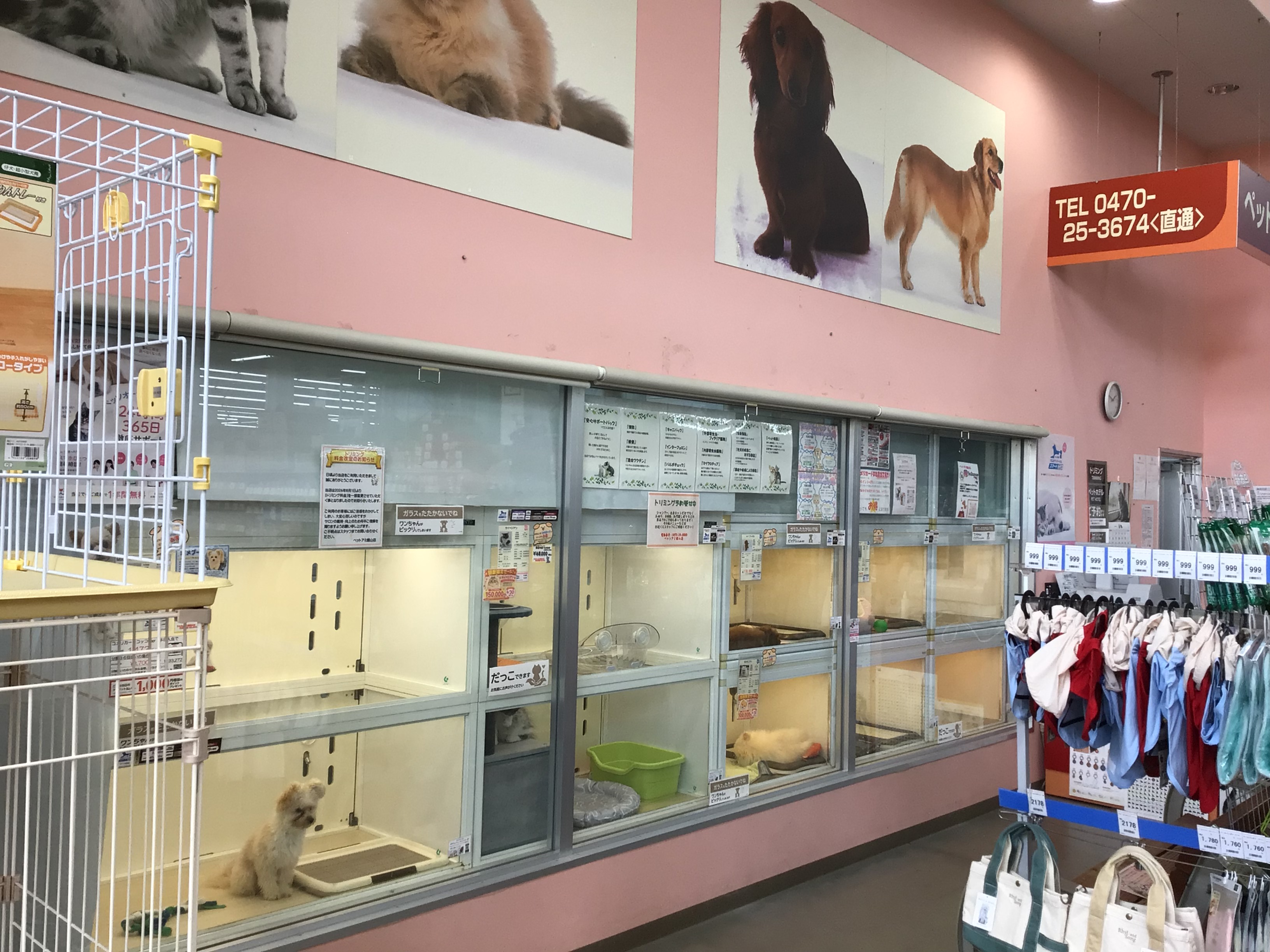 ペットアミ　館山店 2