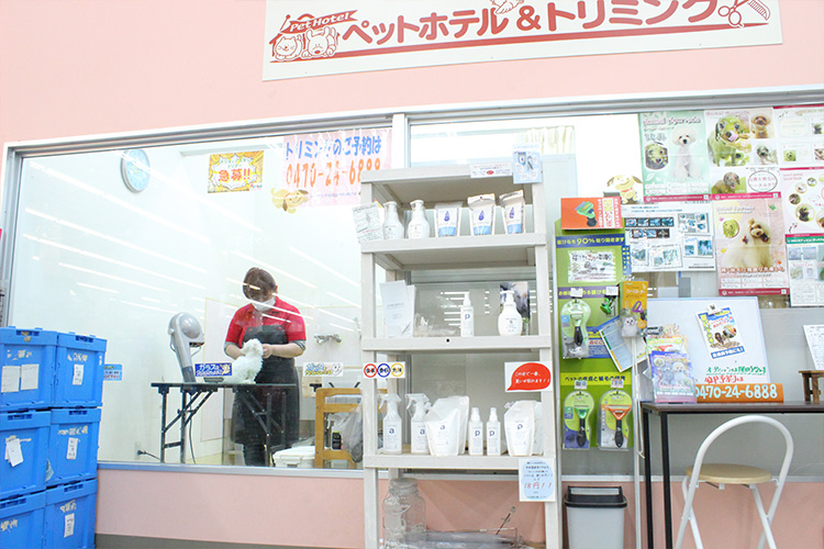 千葉県館山市のトリミングサロン ペットアミ　館山店のサムネイル2枚目