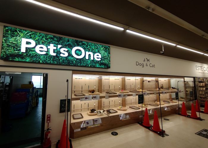 埼玉県草加市のトリミングサロン ペッツワン 草加松原団地店の1枚目