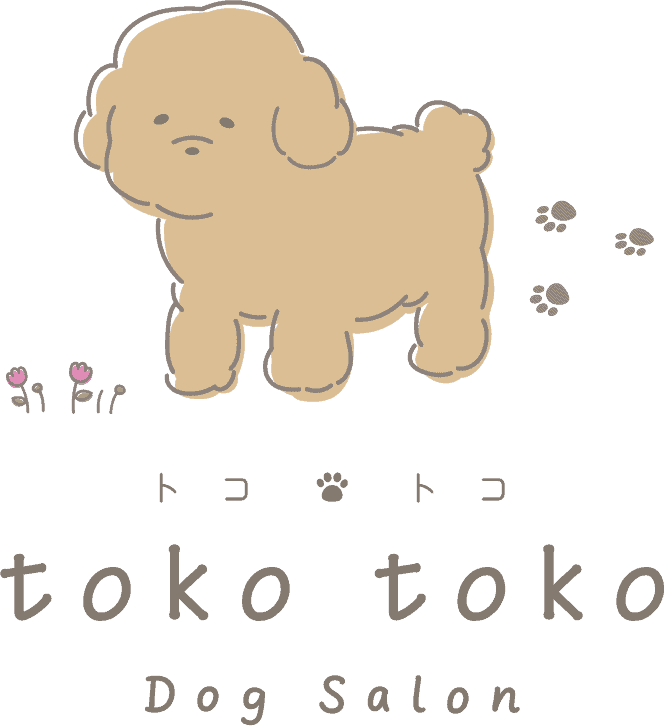 ~シニアさんにやさしいサロン~