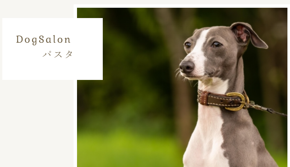 長野県松本市のトリミングサロン Dogsalon パスタのサムネイル1枚目