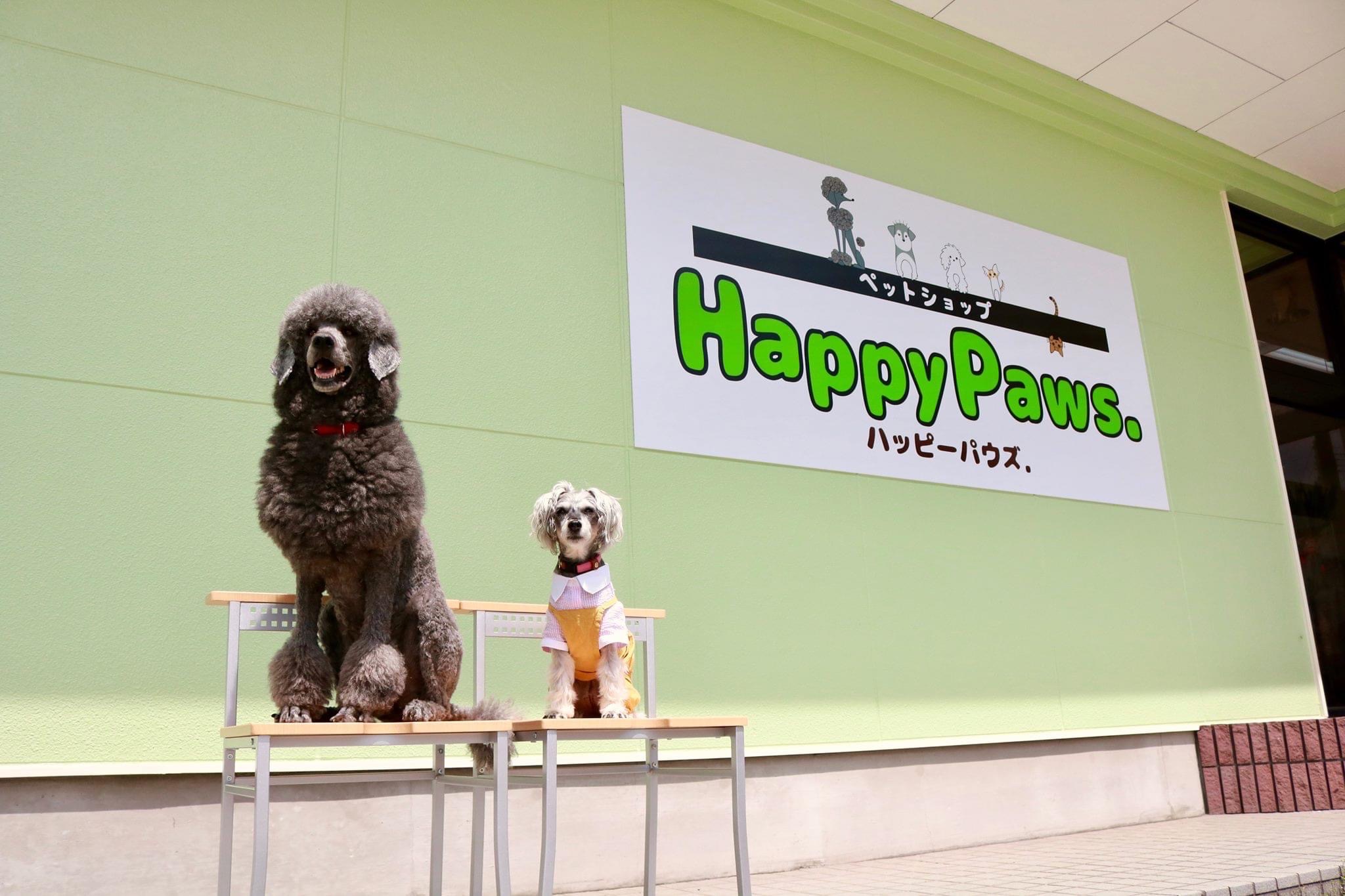 岐阜県高山市のトリミングサロン ペットショップ Happy Paws.のサムネイル1枚目