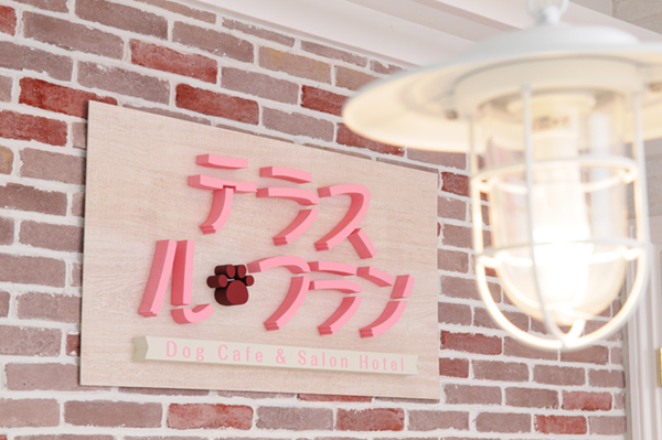 宮城県仙台市宮城野区のトリミングサロン テラス ル・フラン本店の6枚目