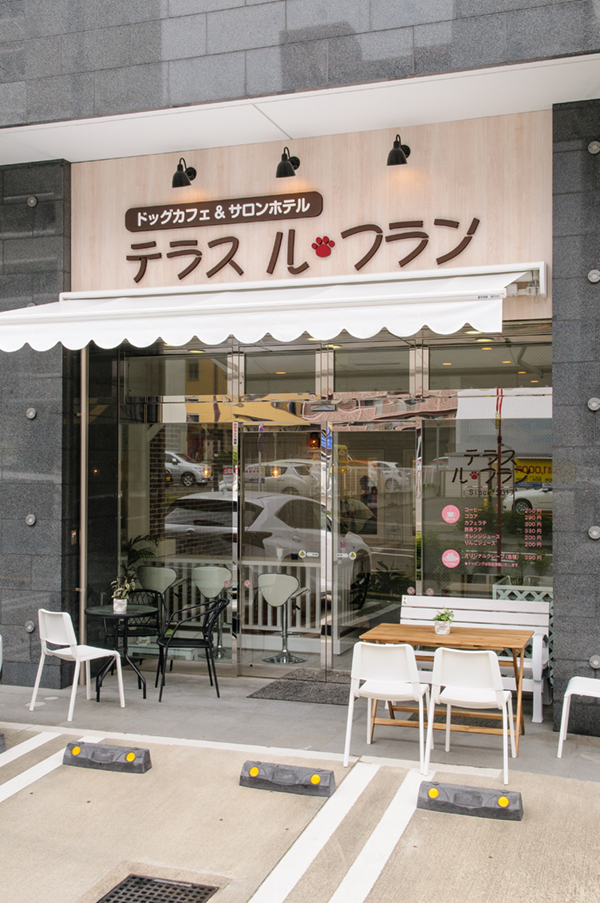 宮城県仙台市宮城野区のトリミングサロン テラス ル・フラン本店のサムネイル1枚目