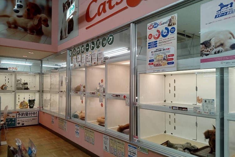 石川県津幡町のトリミングサロン ペットアミ　津幡店のサムネイル2枚目