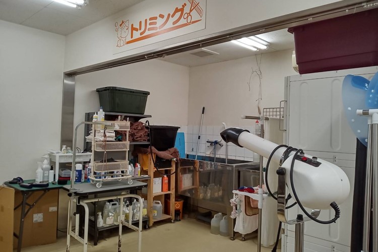 石川県津幡町のトリミングサロン ペットアミ　津幡店のサムネイル1枚目