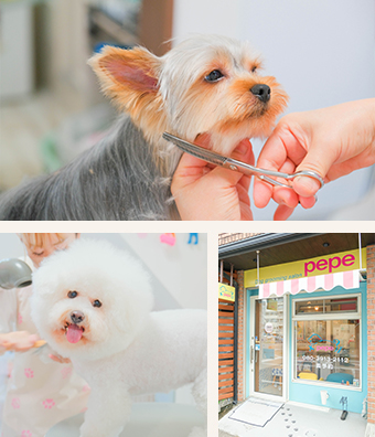 グルーミングで犬も人も☆HAPPY LIFE☆
