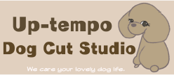 栃木県小山市のトリミングサロン Up-tempo Dog Cut Studioのサムネイル2枚目