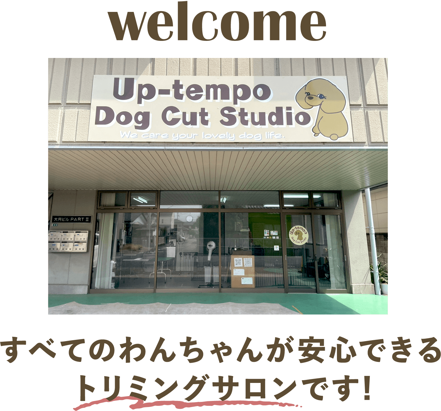 栃木県小山市のトリミングサロン Up-tempo Dog Cut Studioのサムネイル1枚目