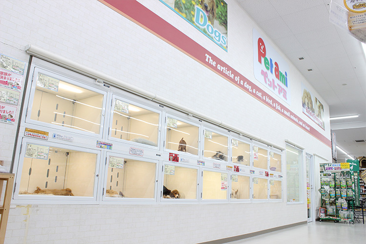 広島県大竹市のトリミングサロン ペットアミ 大竹店の1枚目