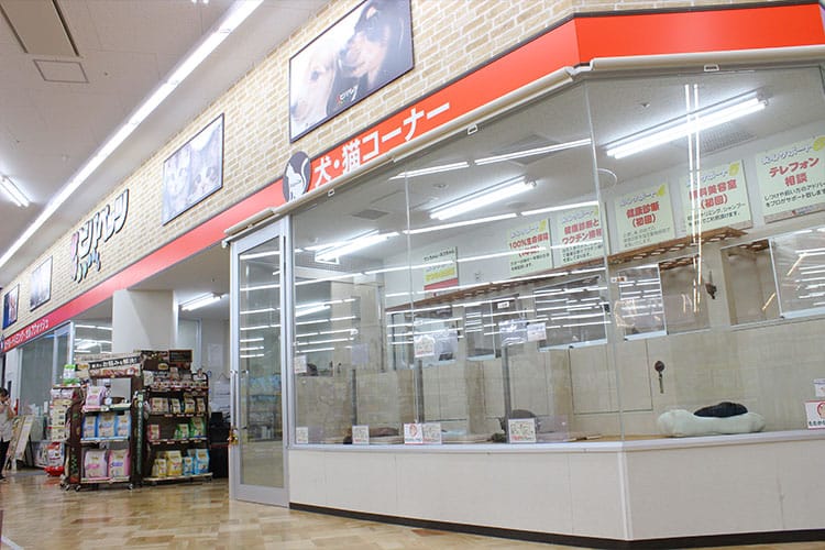 ビバペッツ　和泉中央店 のサムネイル