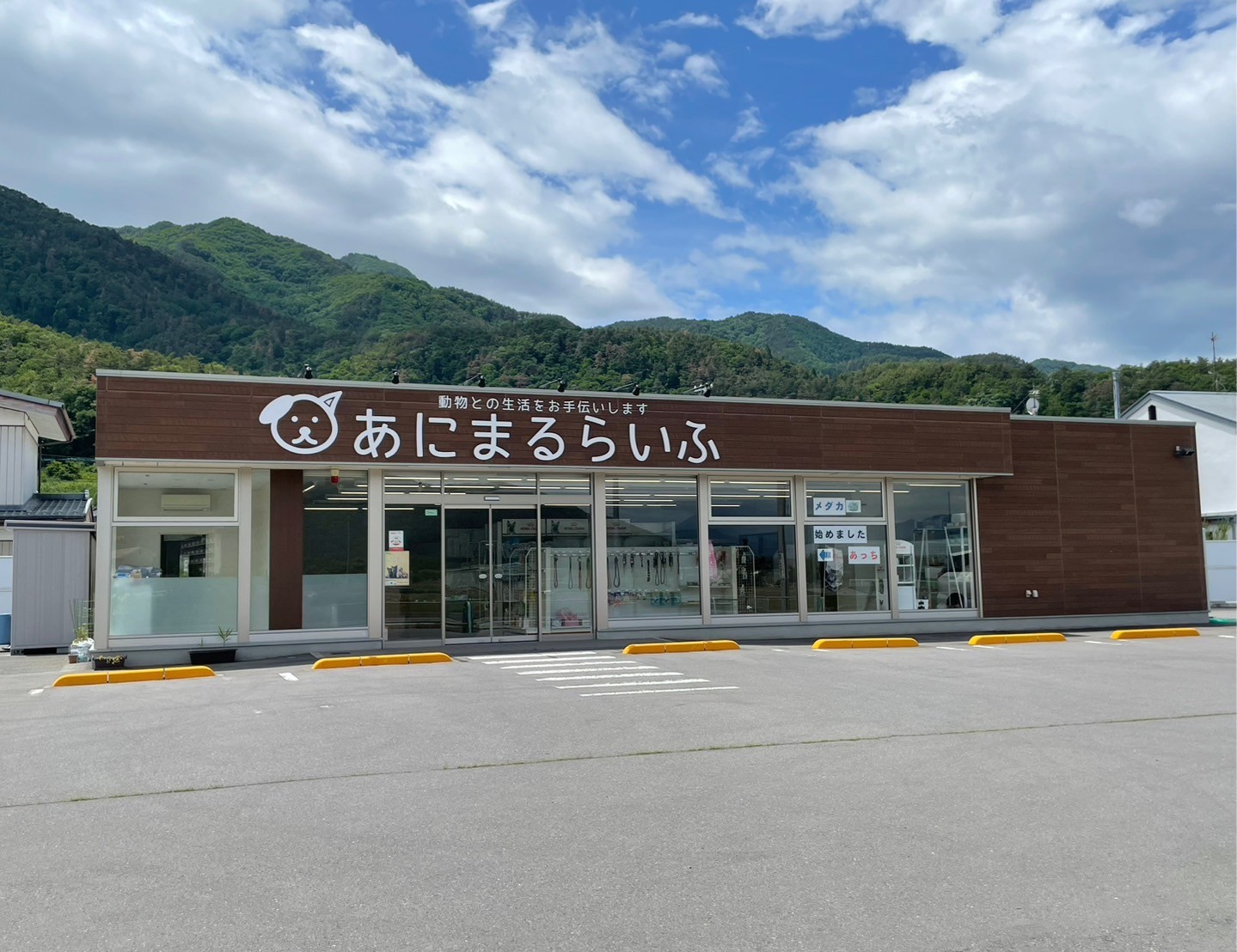 長野県千曲市のトリミングサロン あにまるらいふのサムネイル1枚目
