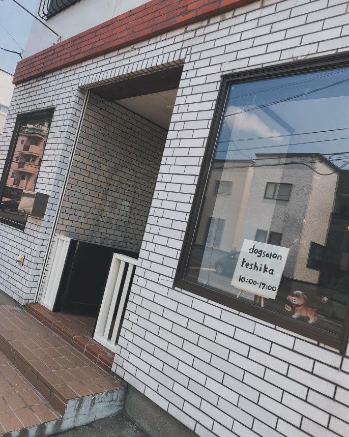 dogsalon.reshika のサムネイル