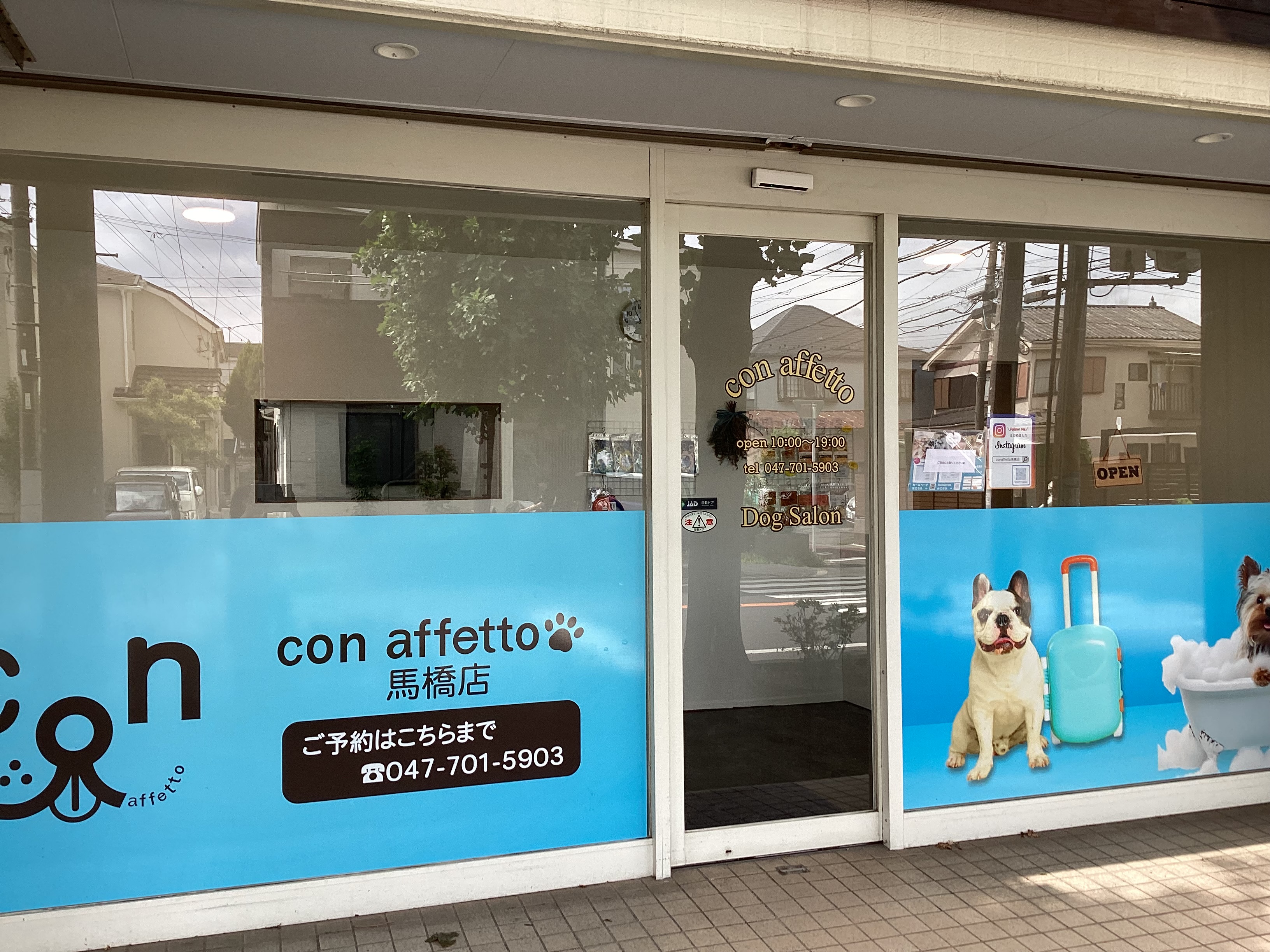 千葉県松戸市のトリミングサロン Con affetto 馬橋店のサムネイル1枚目