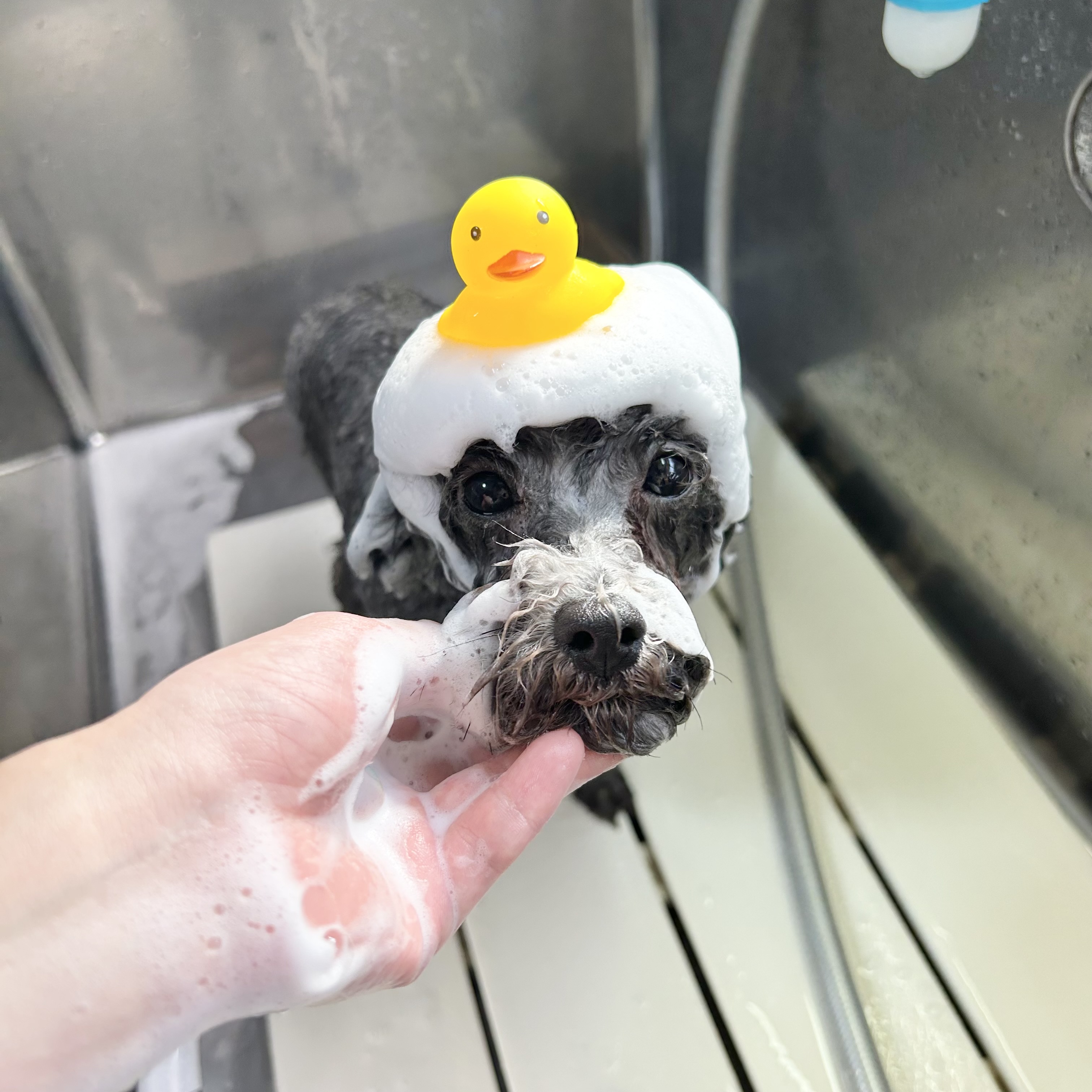 仕上がり撮影サービスつき!