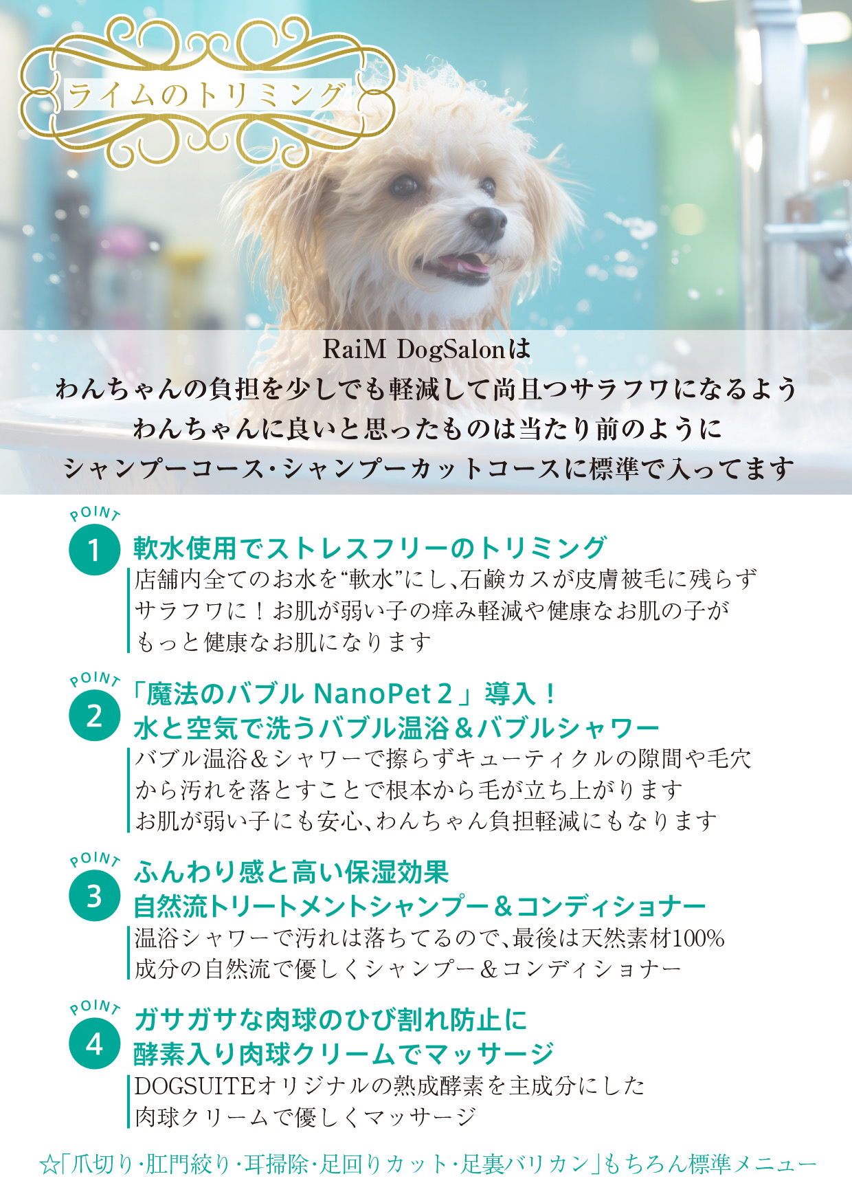埼玉県川越市のトリミングサロン RaiM-Cafe&DogSalon-の4枚目