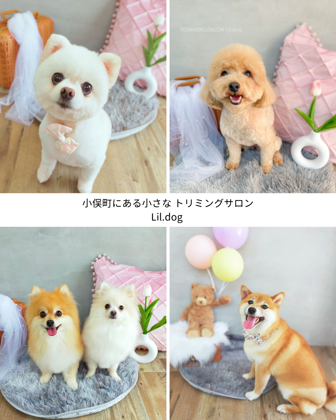 トリミングカット Lil.dogの1枚目
