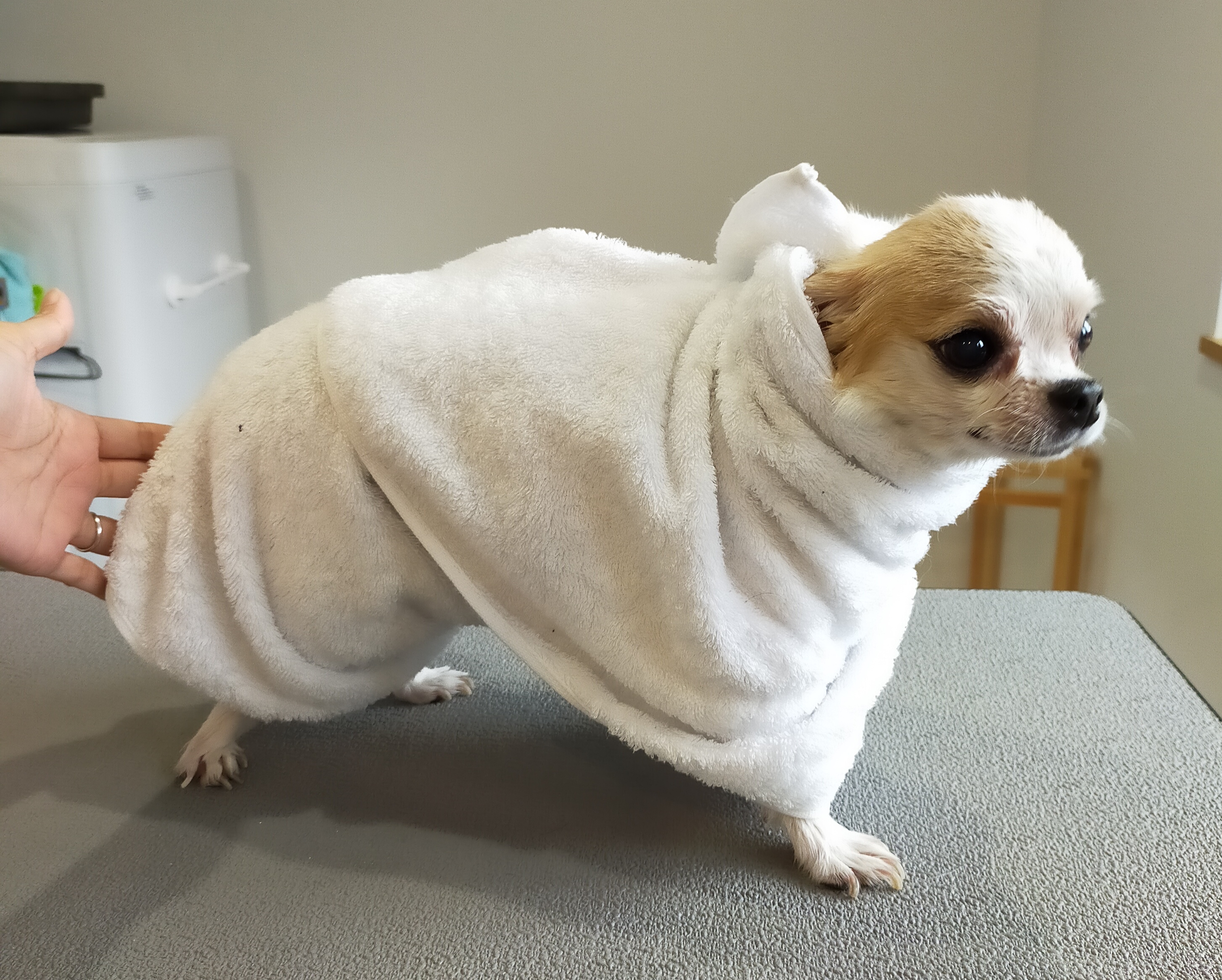 3つのコース