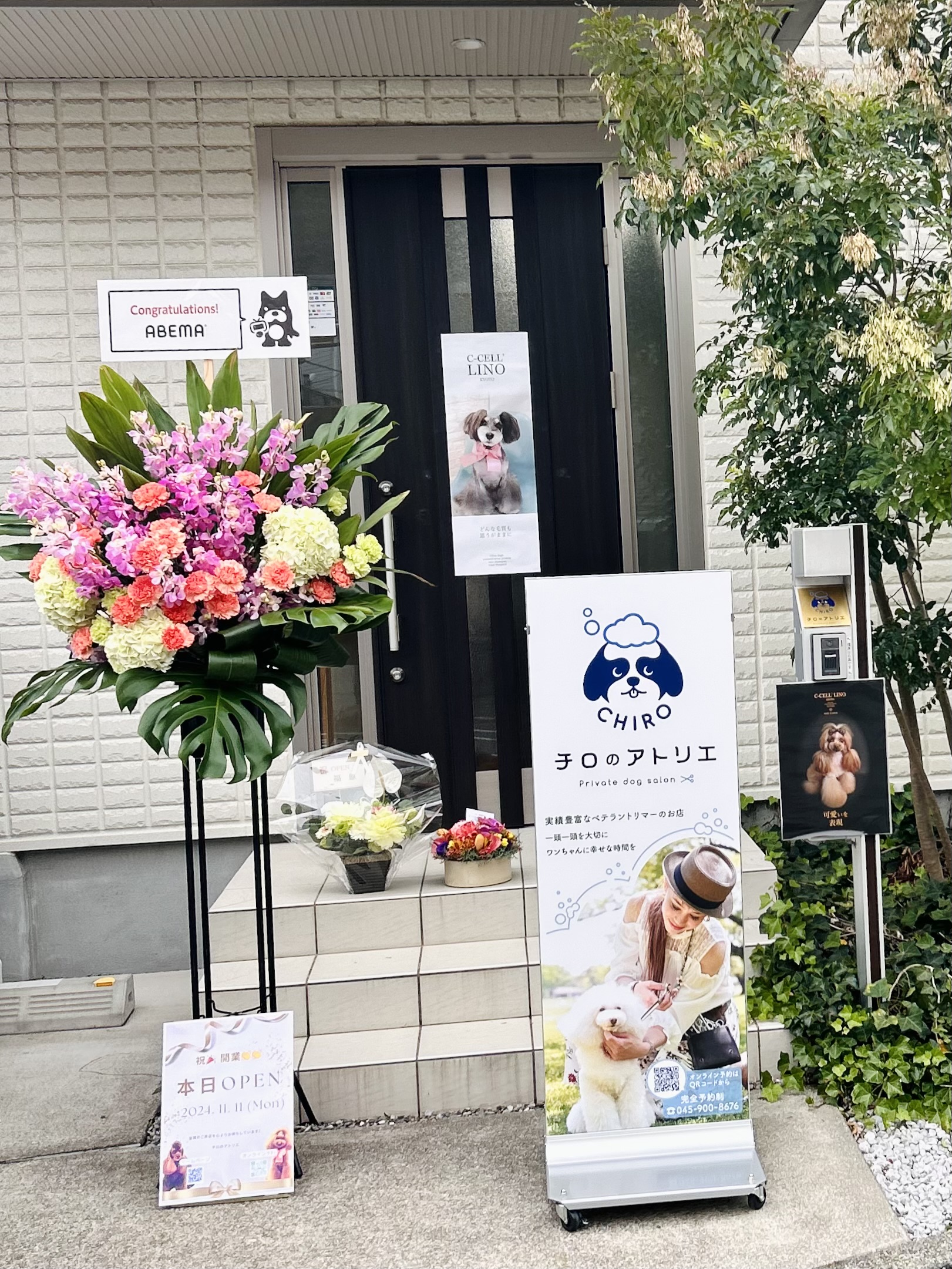 神奈川県葉山町のトリミングサロン チロのアトリエの15枚目