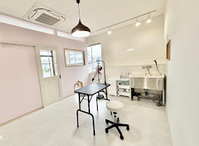 埼玉県川口市のトリミングサロン Dogsalon Sachiのサムネイル2枚目