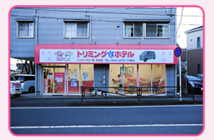 神奈川県川崎市幸区のトリミングサロン ハッピースリー 矢向店のサムネイル1枚目