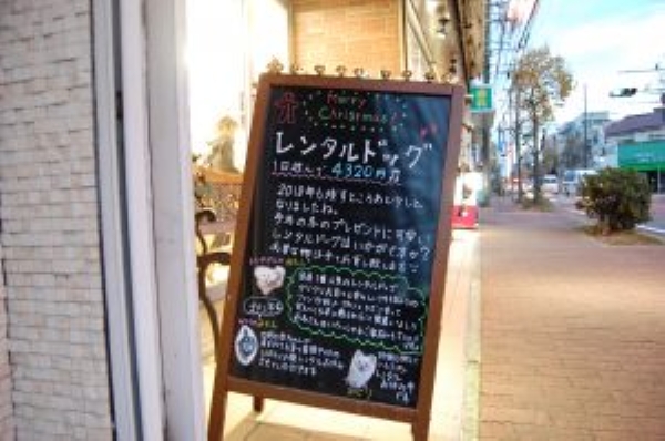 ペットレンタルも承っております。